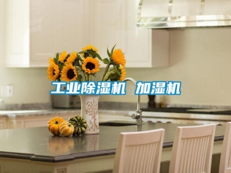 常見問題工業除濕機 加濕機