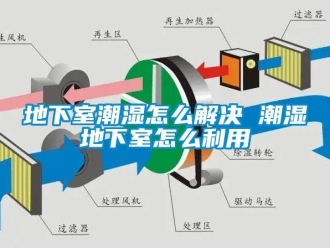 企業新聞地下室潮濕怎么解決 潮濕地下室怎么利用