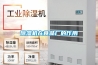 家用除濕機原理是什么 家用除濕機使用注意事項【詳解】
