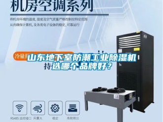 常見問題山東地下室防潮工業除濕機選哪個品牌好？