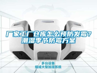企業新聞廠家工廠倉庫怎么預防發霉？潮濕季節防霉方案