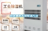 一種新型氮?dú)獗Ｗo(hù)除濕干燥一體機(jī)的制作方法